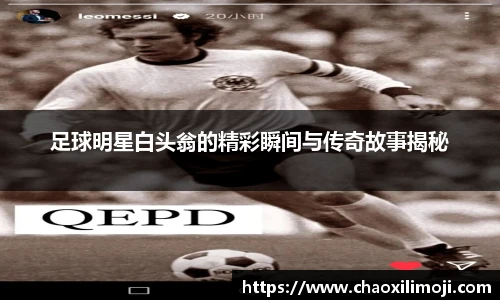 足球明星白头翁的精彩瞬间与传奇故事揭秘